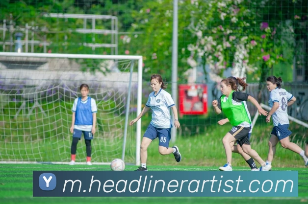 mksports登录入口发展历程